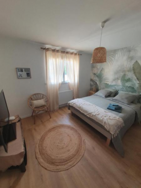 Chambre 15 m2 avec sdb privative